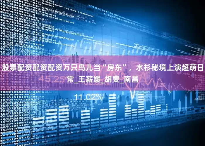 股票配资配资配资万只鸟儿当“房东”，水杉秘境上演超萌日常_王薪媛_胡斐_南昌