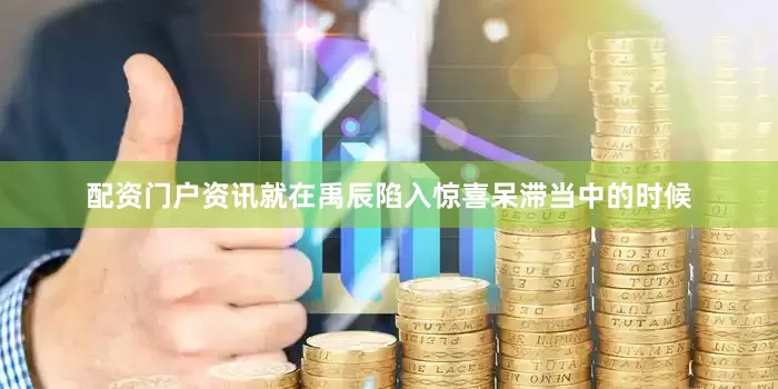 配资门户资讯就在禹辰陷入惊喜呆滞当中的时候