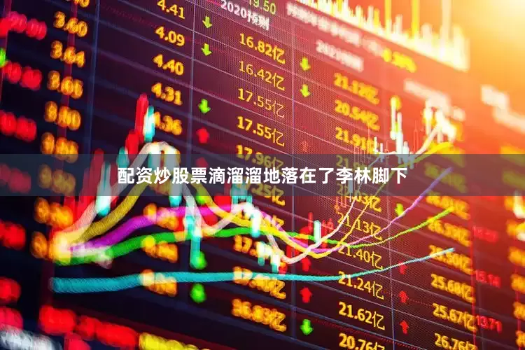 配资炒股票滴溜溜地落在了李林脚下