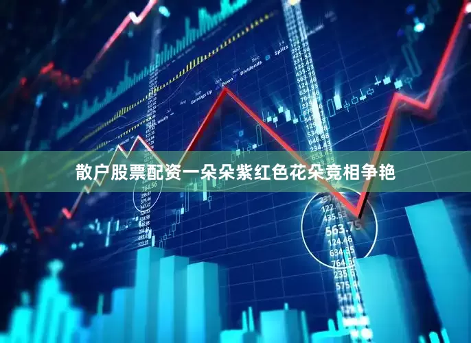 散户股票配资一朵朵紫红色花朵竞相争艳