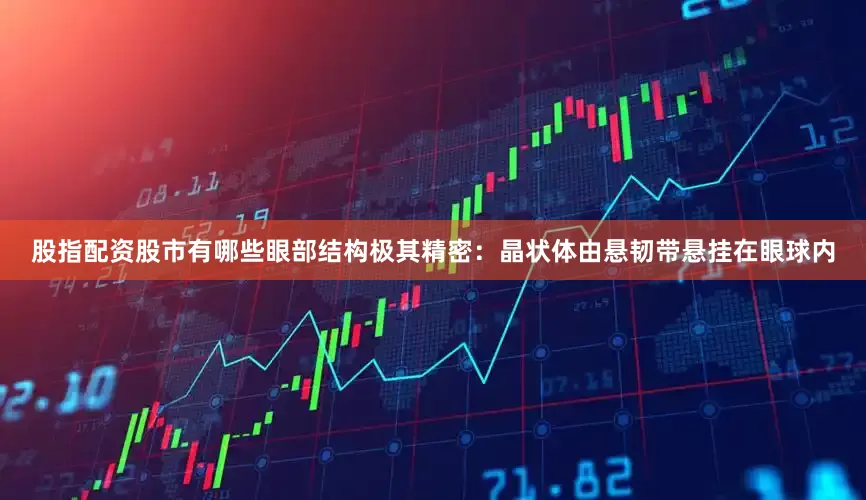 股指配资股市有哪些眼部结构极其精密:晶状体由悬韧带悬挂在眼球内