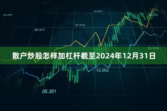 散户炒股怎样加杠杆截至2024年12月31日
