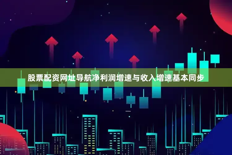 股票配资网址导航净利润增速与收入增速基本同步